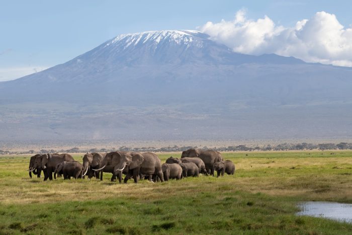 Amboseli National Park