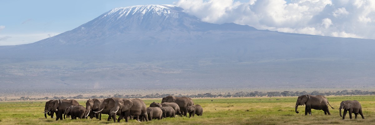 Amboseli National Park