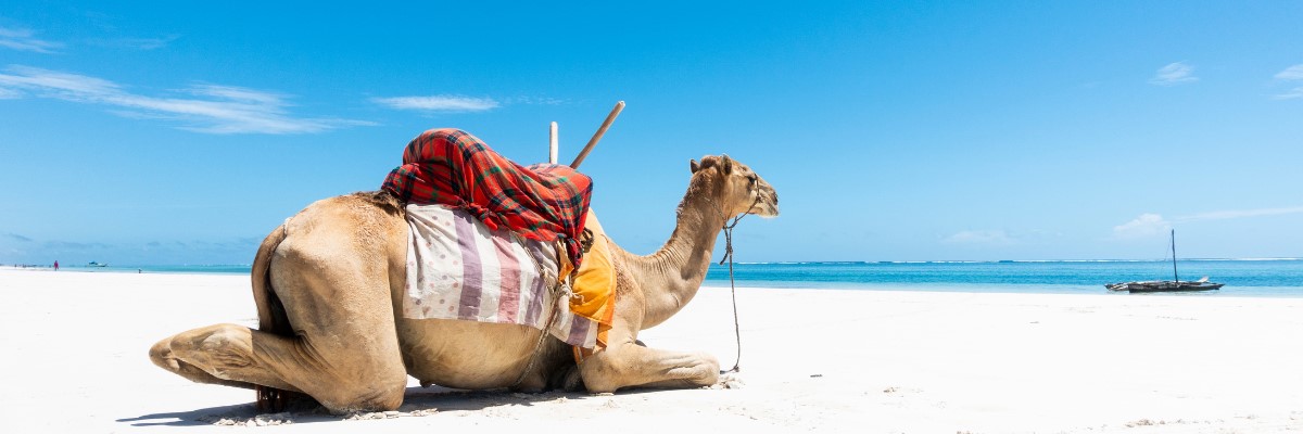 Diani 18-Day Nairobi to Indian Ocean Safari Adventure
