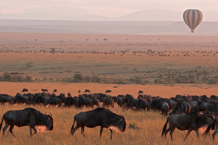 Hot Air Balloon Safari Maasai Mara
