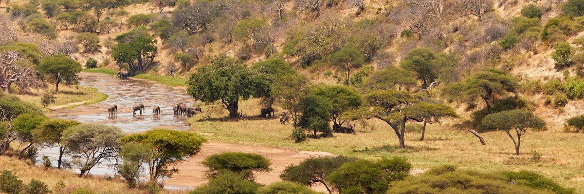 Tarangire, Tanzania