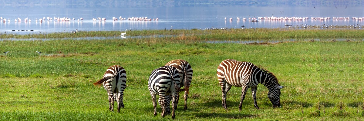 Lake Nakuru