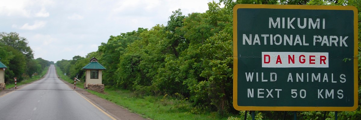 Mikumi Narional Park